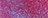 002-CHAMELEON MAGENTA 002-CHAMELEON MAGENTA