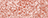 006-EXTREME ROSE 006-EXTREME ROSE