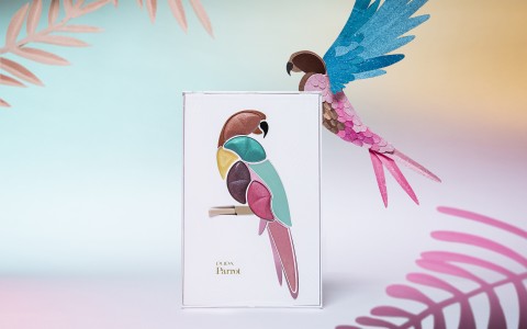 Parrot - PUPA Milano